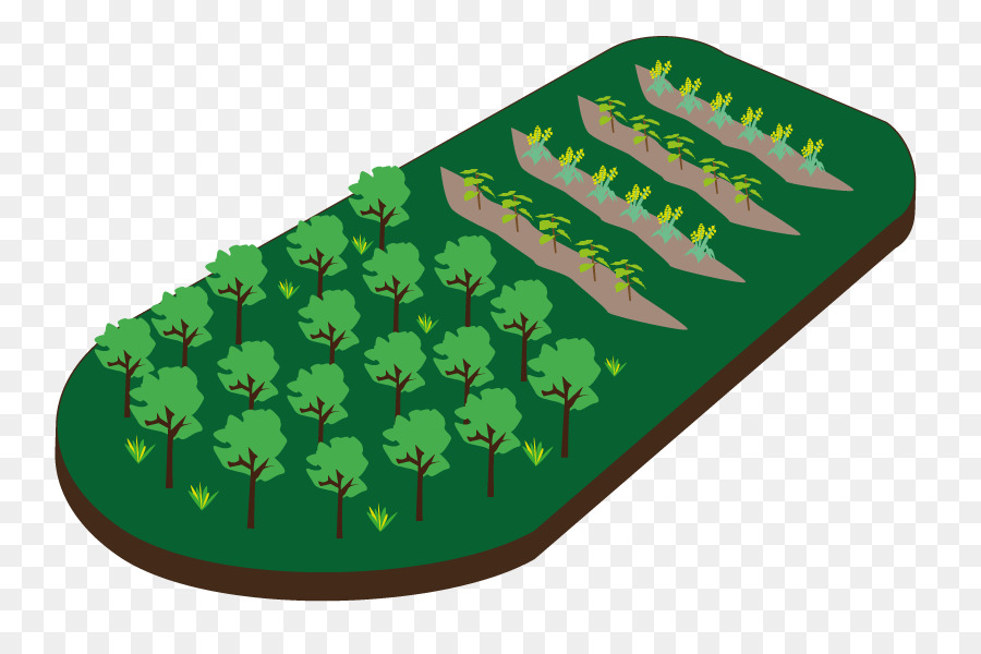reforestation cartoon