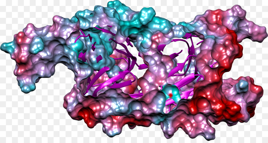 Art Rosa M Organismus RTV Pink - Gamma globulin