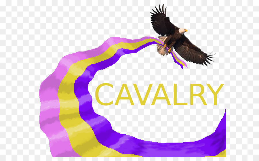 Stati uniti Cavalleria organizzazione Non-profit di Formazione Aziendale - cavalleria