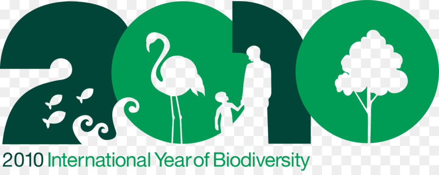 Zum internationalen Jahr der Biodiversität übereinkommen über die Biologische Vielfalt un Dekade zur Biodiversität Globale Artenvielfalt - andere