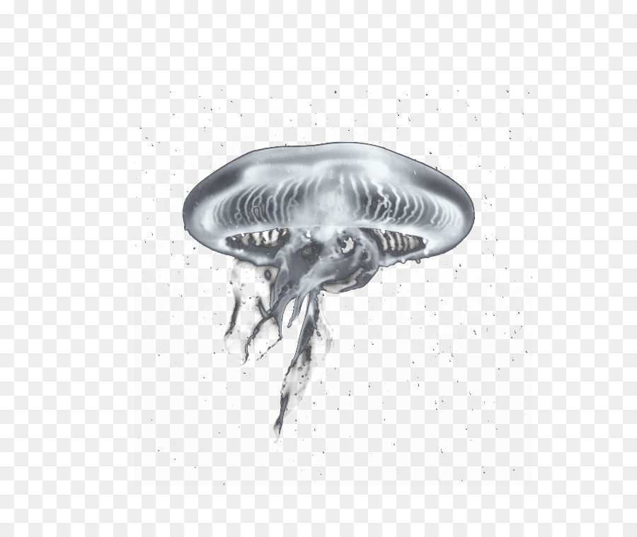 Invertebrati marini /m/02csf Medusa Disegno di brodo di Pesce - pesce ogni anno