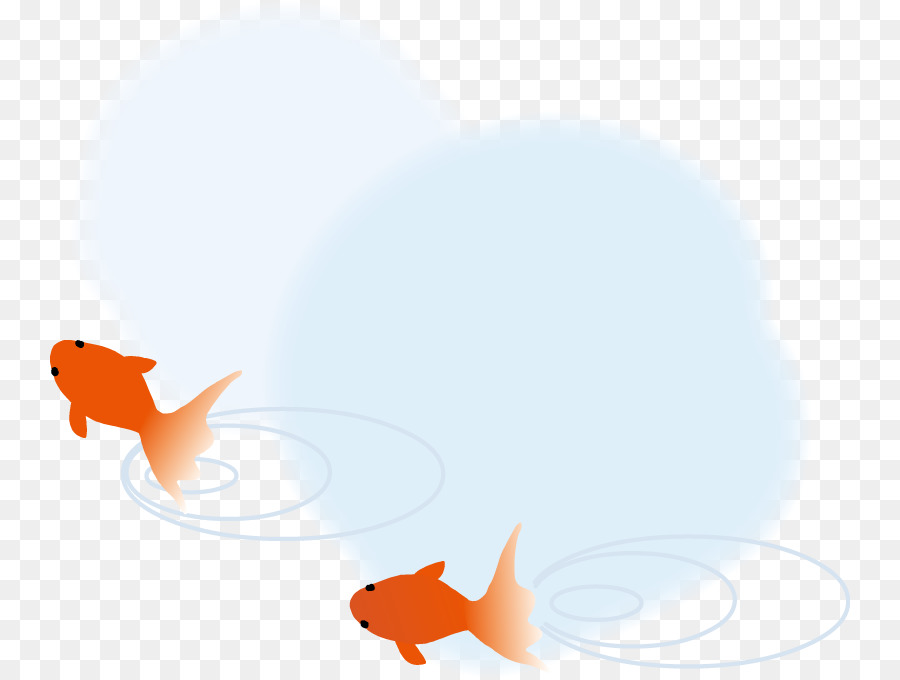 Canidae Goldfish Cane di mammiferi Marini - cane
