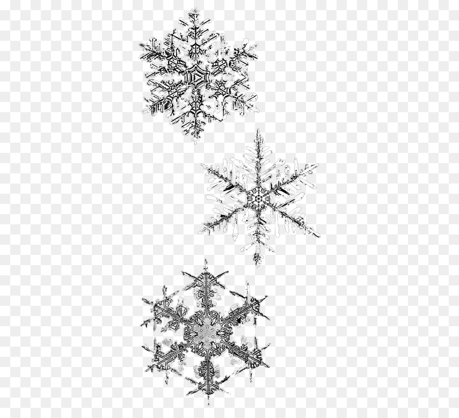 Snowflake Winter - Schneeflocke