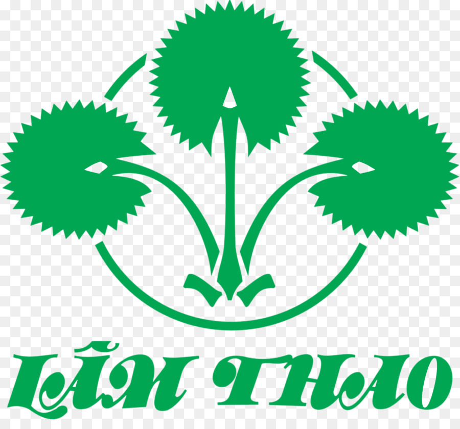 Lin Thao Distretto Lam Thao Fertilizzanti, L'Organizzazione Aziendale, Settore - genere sbagliato viet nam