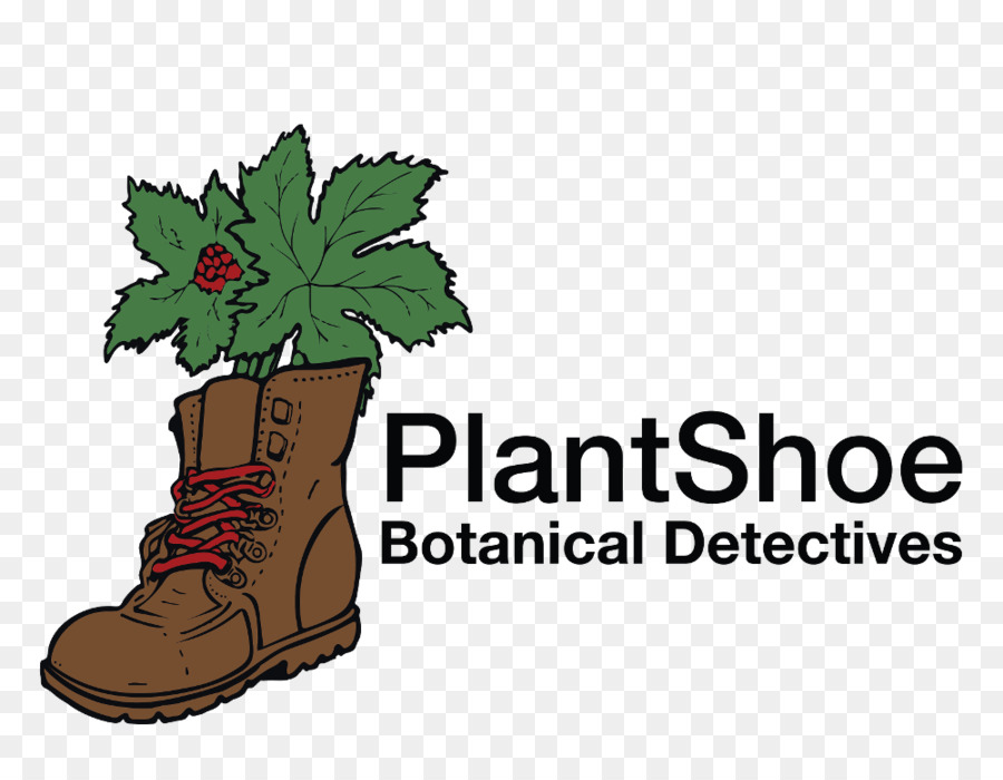 Detektiv Pflanze Botanik Blatt-clipart - andere