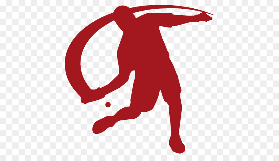 USA Team Handball Unveils New Logo And Website In Rebranding Effort -  Innovative Partnership Group