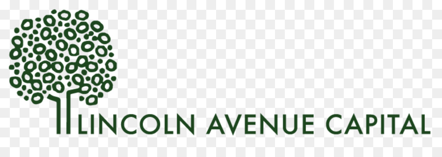Avenue Capital Group Business Custodia Logo Investimento - attività commerciale