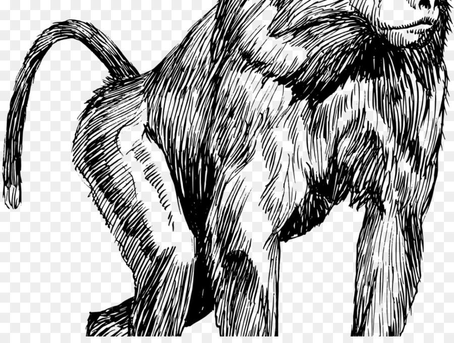 Mandrill Chacma baboon Zeichnung Hamadryas baboon Clip-art - Affe