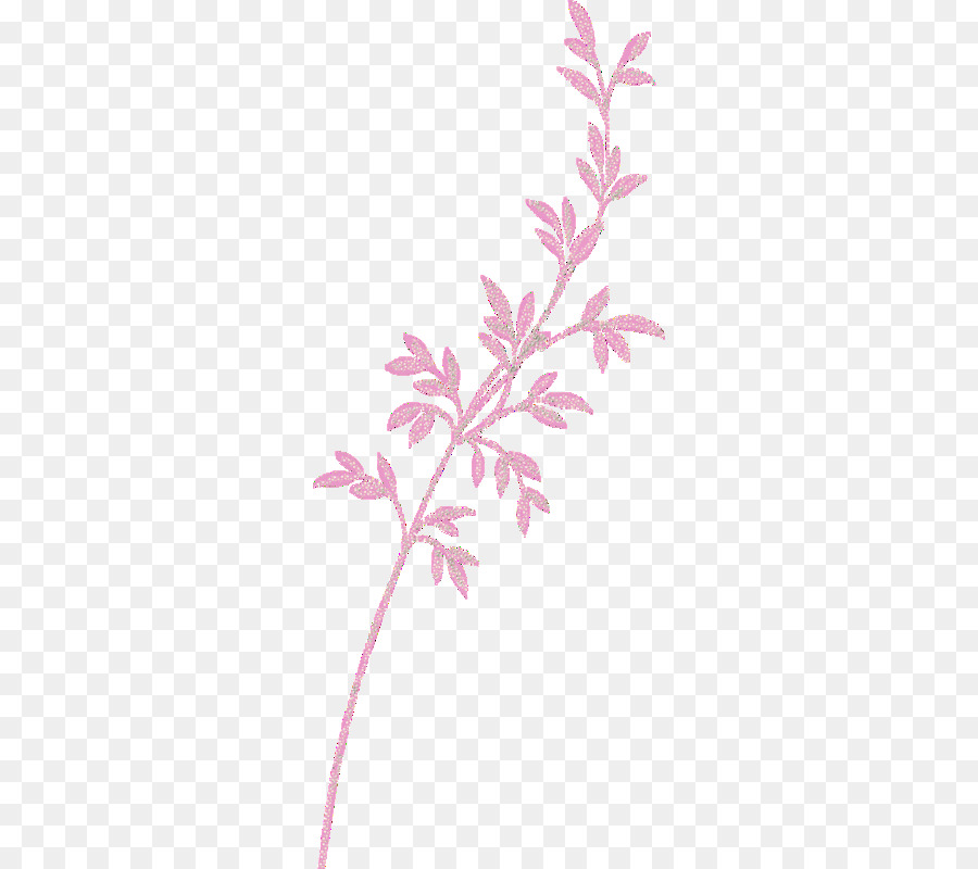 Un ramoscello di Rosa M staminali Vegetali a Foglia, Petalo - foglia