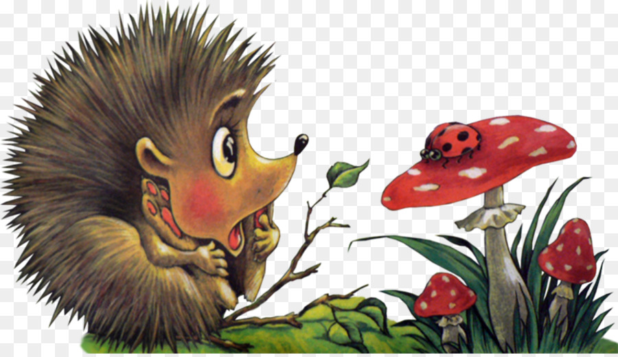 European Hedgehog Gomma riccio in Gomma riccio Yahoo Search - riccio
