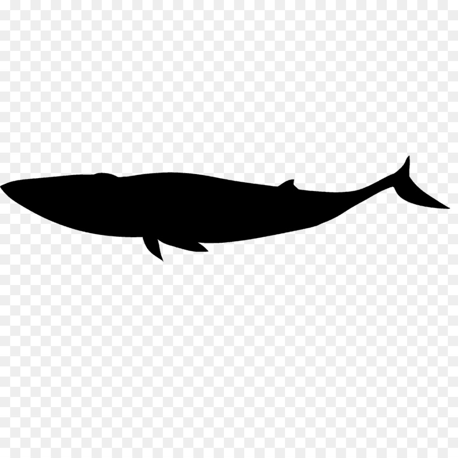 Clipart di silhouette di delfino focena cetacea - Delfino