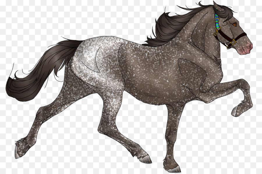 Mähne Mustang Hengst Stute Pony - Mustang