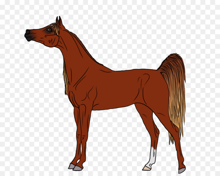 Horse Cartoon png download - 1024*819 - Free Transparent Mustang png  Download. - CleanPNG / KissPNG