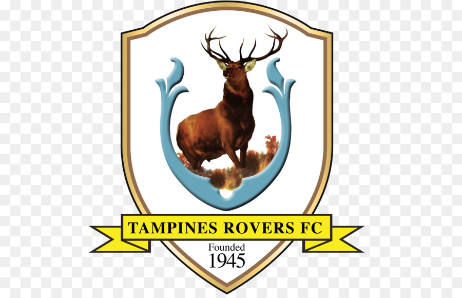 Tampines Rovers FC Hougang United FC 2018 Singapore Premier League Balestier Khalsa FC Albirex Niigata FC Singapore - egitto squadra nazionale di calcio del 2018 della coppa del mondo fifa