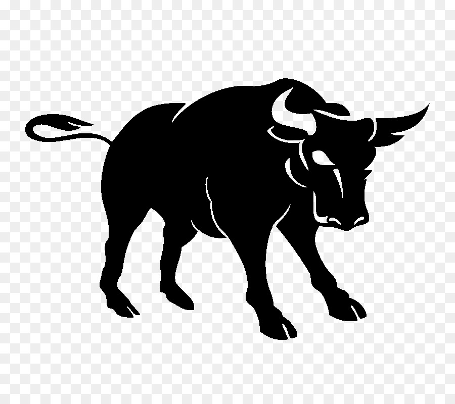 Bull bò Sữa Bò Nhiếp ảnh - Bull