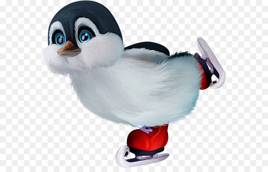 Pinguino Oca Cygnini Anatra Uccello - Pinguino