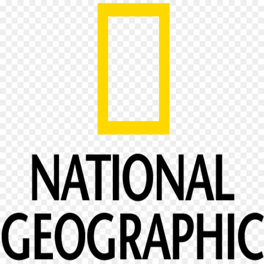 National Geographic Logo png download - 1600*1600 - Free Transparent  Geography png Download. - CleanPNG / KissPNG