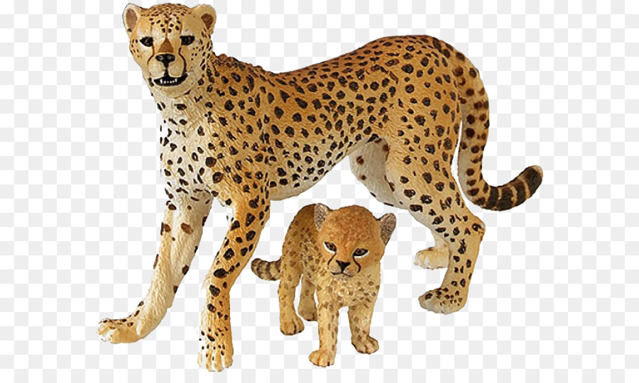 Báo Cheetah Họ Mèo Con Sư Tử Sát - con báo