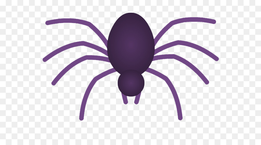 Spider web Phalangioides phalangioides Clip art - ragno