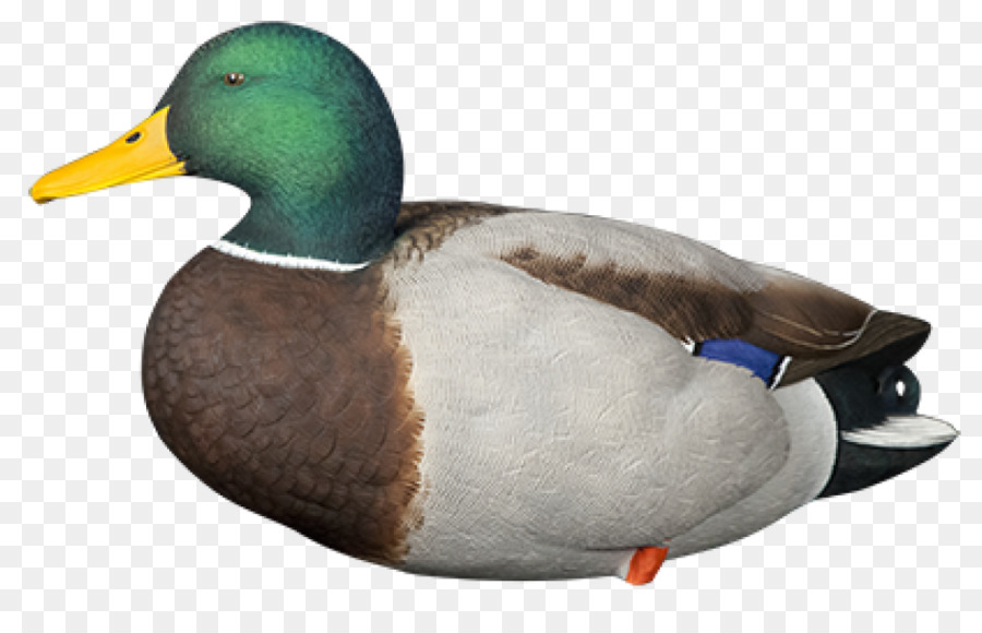 Mallard Duck decoy-Call-Ente - Ente