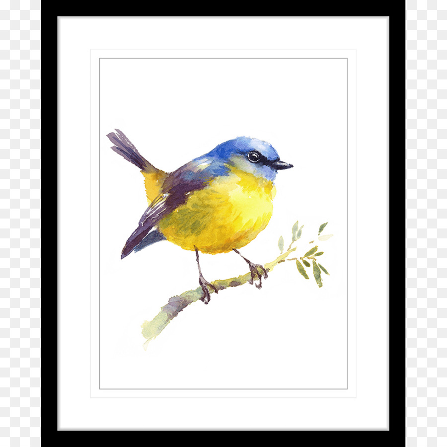Uccello dipinto ad Acquerello, Arte, Disegno - uccello