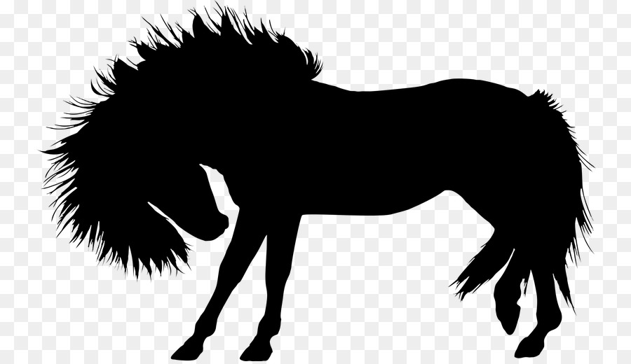 Cavallo Stallone Pony Foal - cavallo