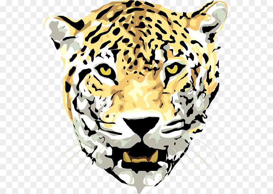 Jaguar họ mèo Cheetah Tuyết Clip nghệ thuật - báo đốm