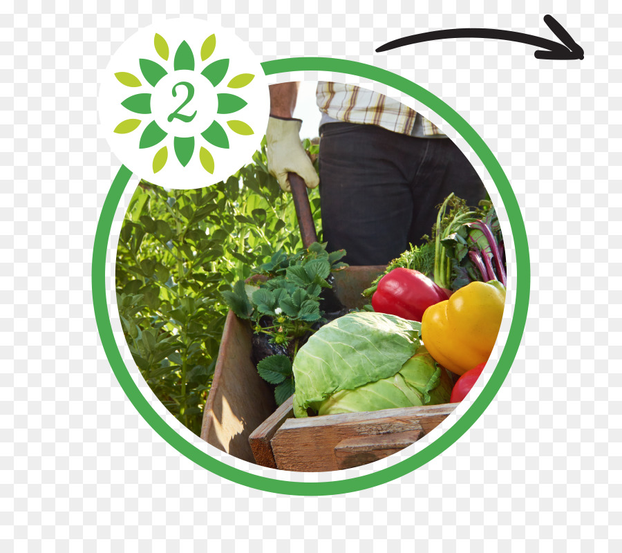Nachhaltige Landwirtschaft, Bio Landwirtschaft Tweed Chamber of Commerce and Industry Inc Blatt Gemüse - Salaten