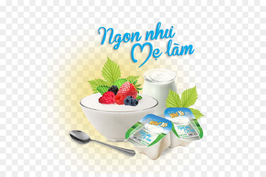 Frozen yogurt Diet food Sahne Flavor - Libelle