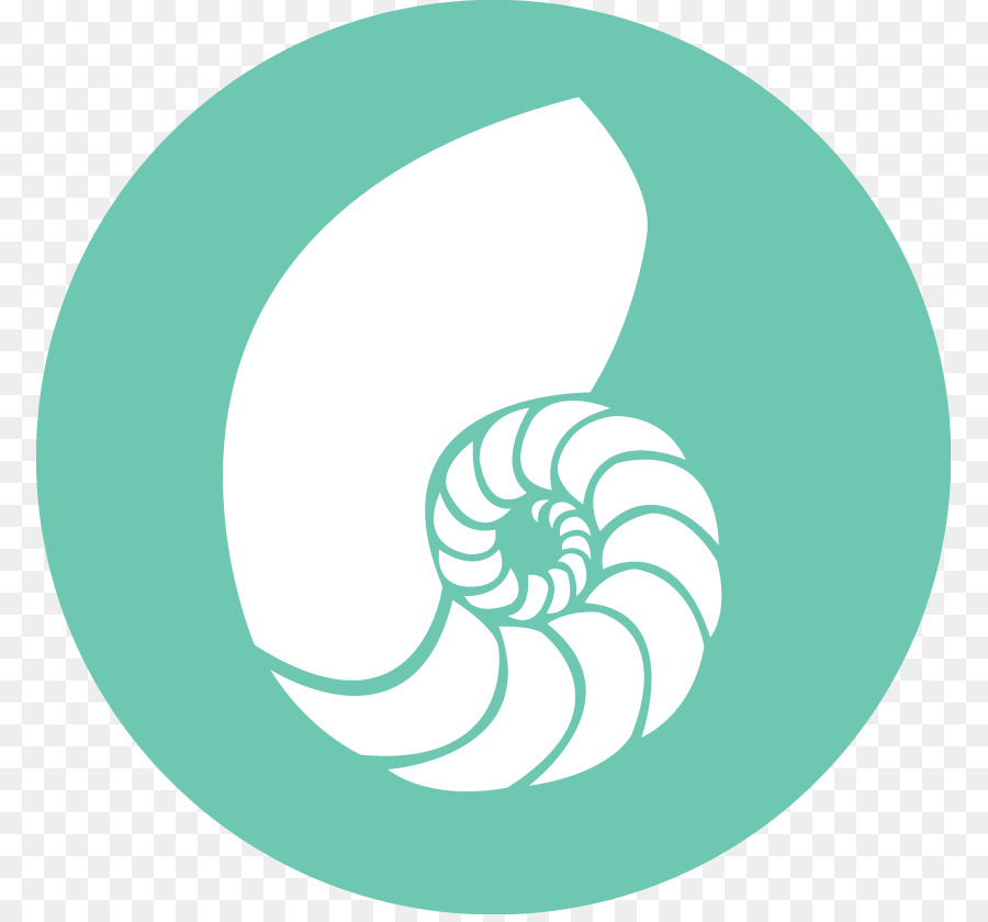 Nautilidae Chambered nautilus Sinonimi e Contrari di Conchiglie Ammoniti - conchiglia