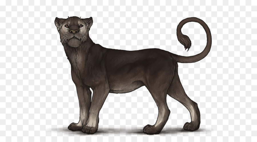 Sư tử họ mèo con mèo Lớn Caramen - sư tử