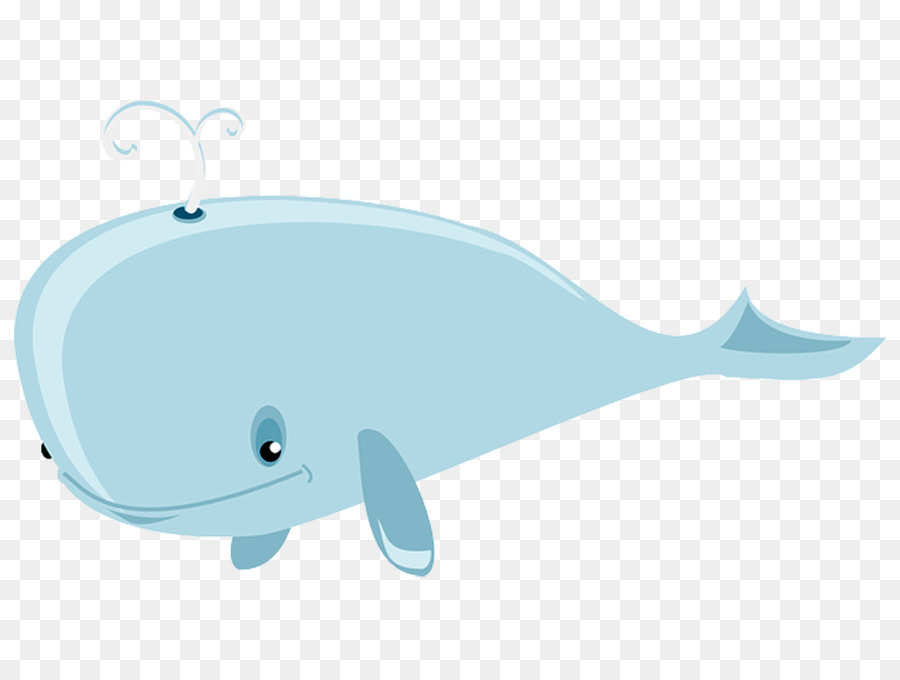 Dolphin Cetacea Blauwal clipart - Delphin