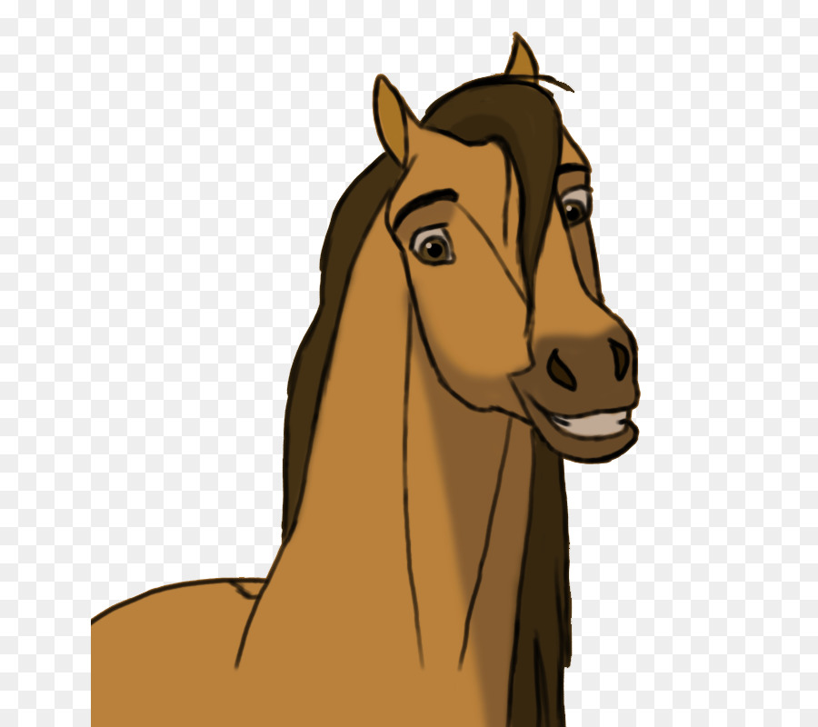 Mane Pony Fohlen Mustang Hengst - Mustang