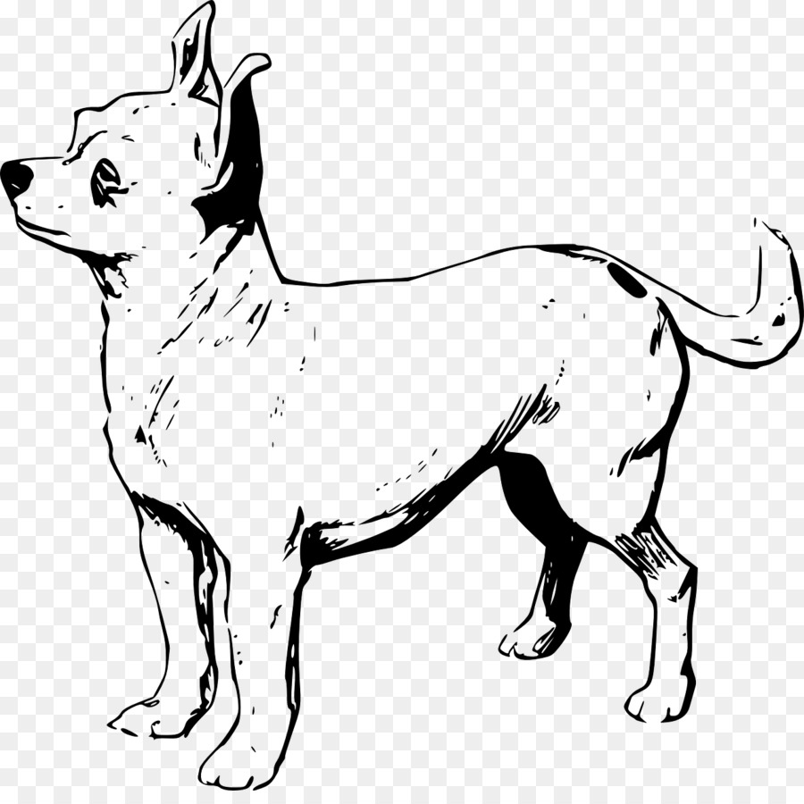 Chihuahua, Shih Tzu Cucciolo Disegno Clip art - cucciolo