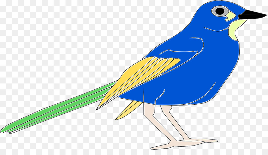 Chim Mỏ màu Xanh Clip nghệ thuật - con chim