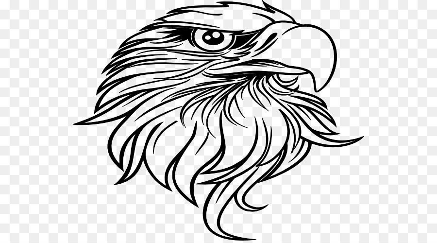 Bald Eagle in bianco e Nero, il falco pecchiaiolo Disegno Clip art - eagle pittura