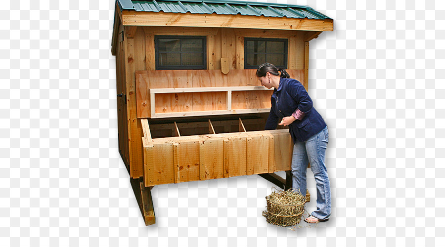 Hühnerstall mit Nest box Wood stain - Huhn