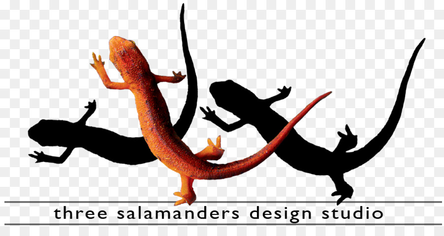 Geschichte des Grafik design Design studio Salamander - Retusche studio