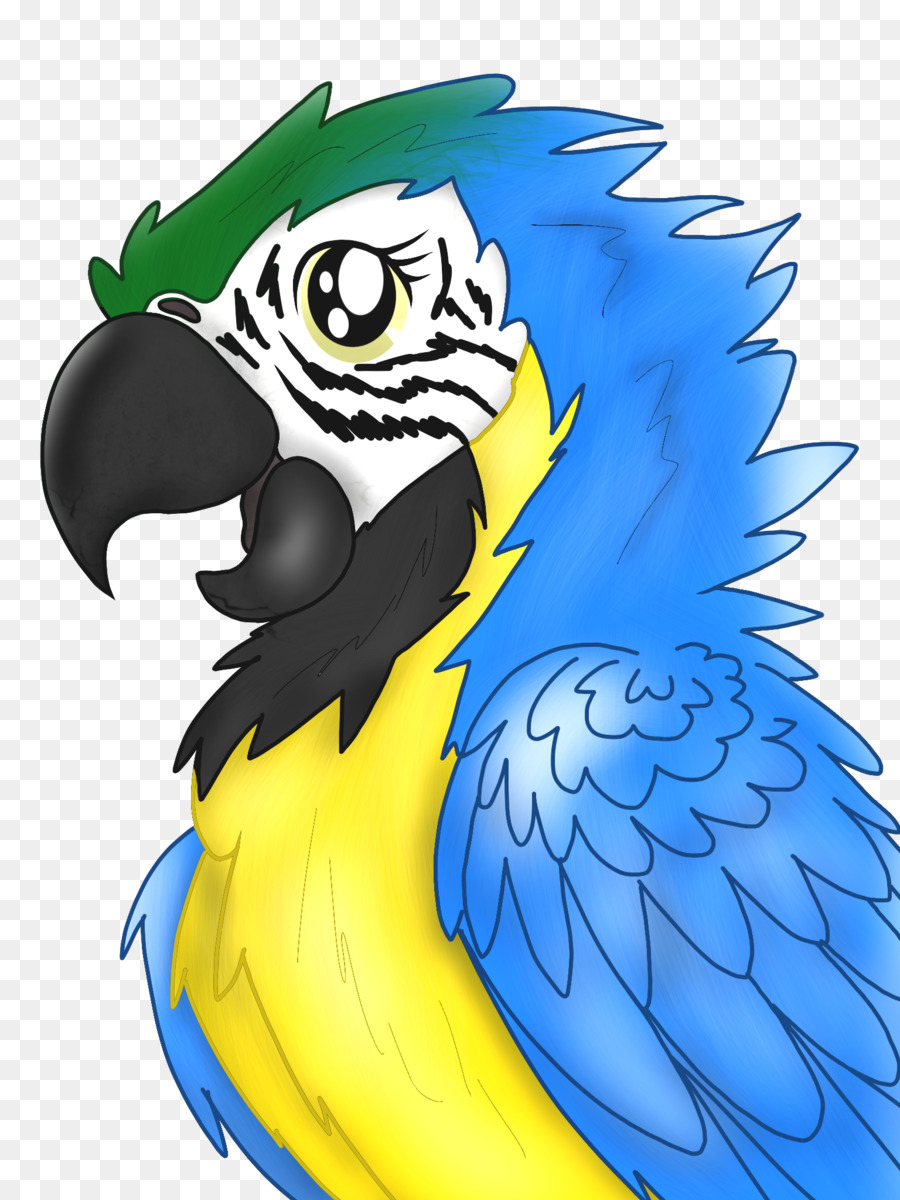 Bird Beak - Macaw | Easy Drawing Tutorial - YouTube