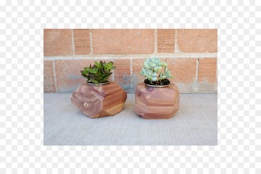vaso di fiori in ceramica - Cactus vaso
