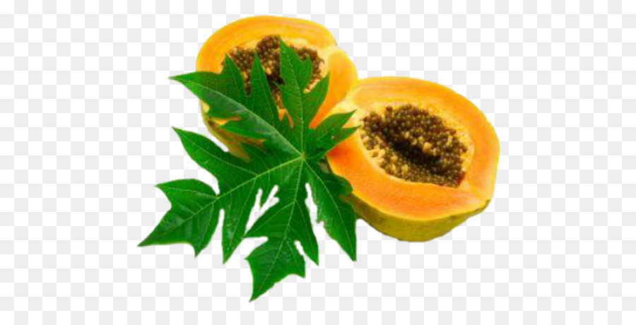 Grüner papaya-Salat Mountain papaya Papaya leaf - dengue Fieber