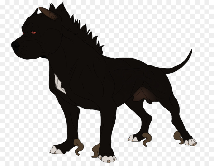 Hunderasse Schnauze Charakter - Teufel Hund