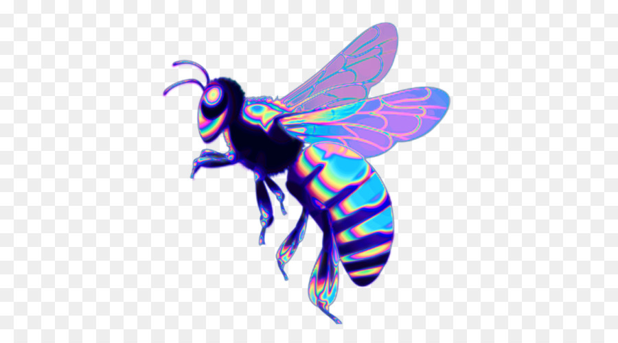 Ong mật phương tây Côn trùng tổ Ong - con ong