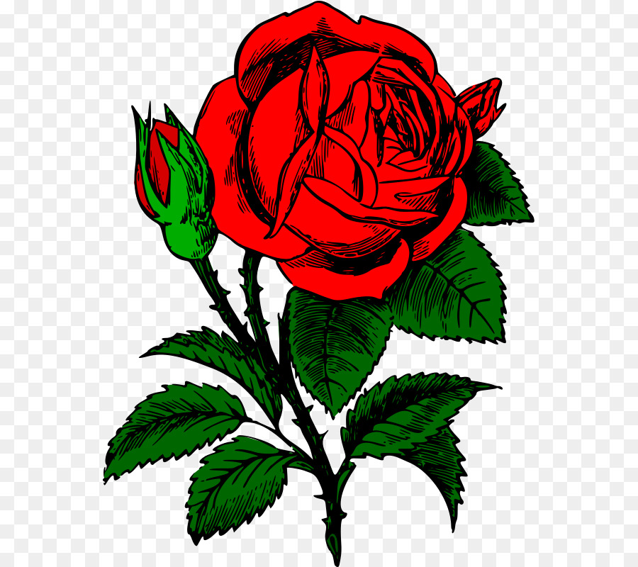 Rose Scaricare Clip art - Illustrazione di rosa