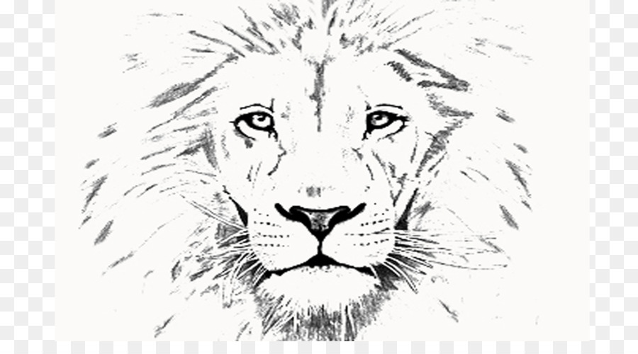 Sư tử, Hổ Râu Dòng thuật Phác - thanh niên học bổng