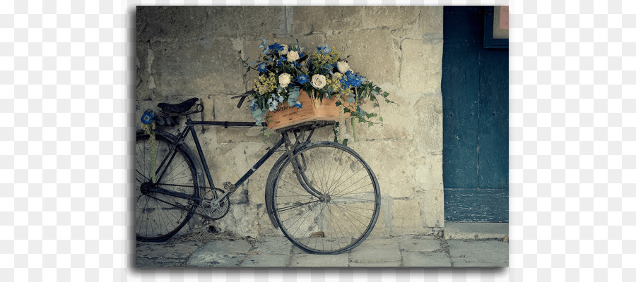 Fahrrad Körbe, Blumen Fahrrad Shop Vintage Kleidung - Fahrrad