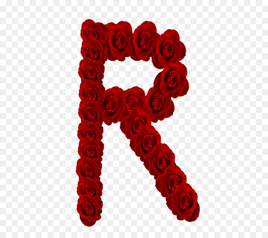 Lettera Alfabeto Rosa - rosa
