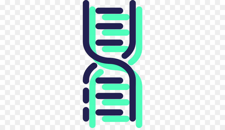 Il DNA ha una Struttura Molecolare degli Acidi Nucleici: Struttura per Deossiribosio di Acido Nucleico Scienze, la Tecnologia, biologia Medica - scienza