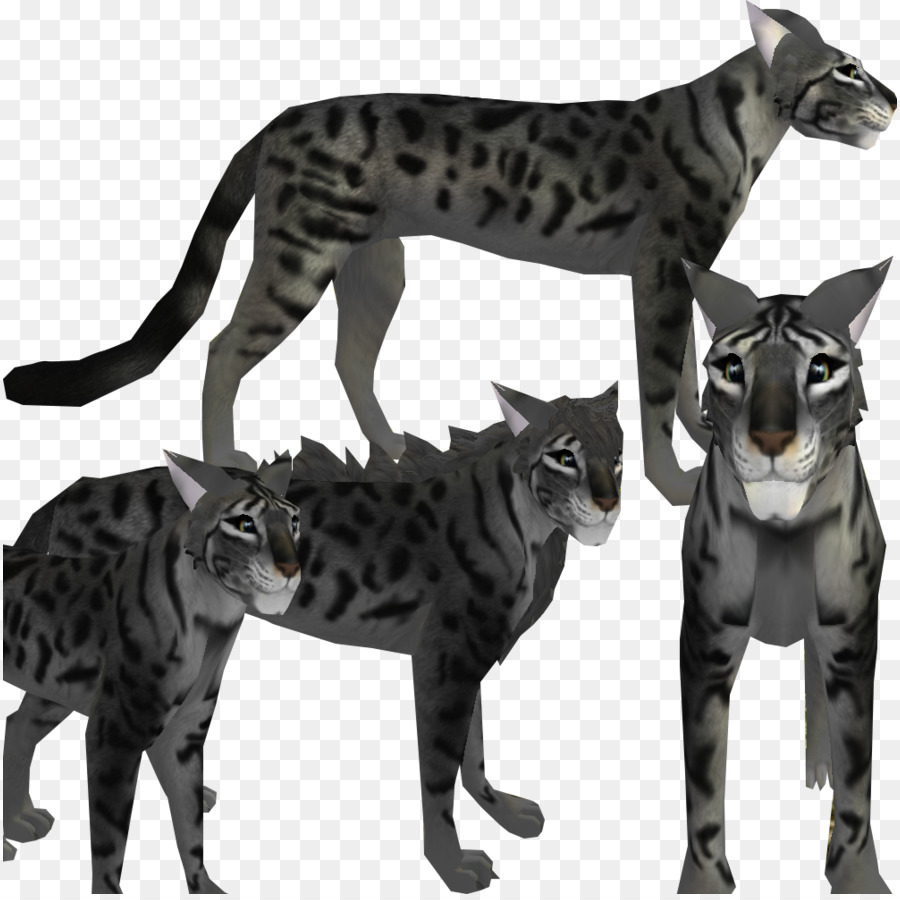 Gatto del bengala gatto selvatico Felidae Cane gatto Nero - cane