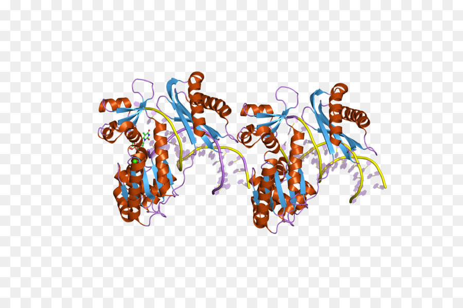 Organismus Punkt Clip art - protein cartoon
